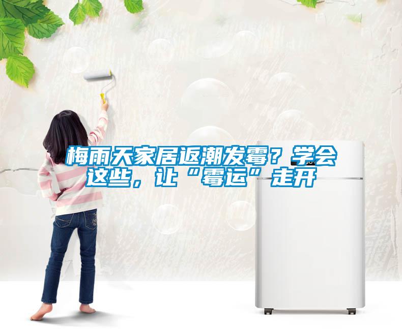 梅雨天家居返潮發(fā)霉？學(xué)會這些，讓“霉運”走開