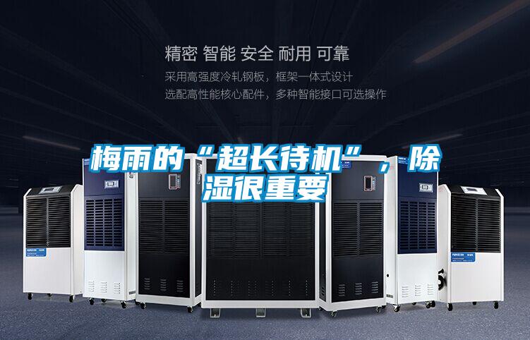 梅雨的“超長待機”，除濕很重要