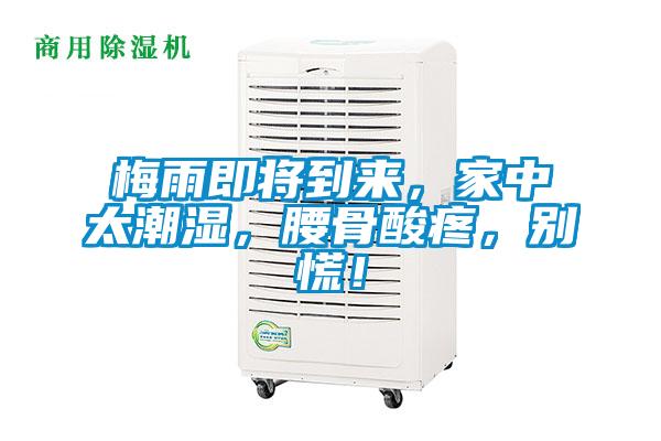 梅雨即將到來，家中太潮濕，腰骨酸疼，別慌！