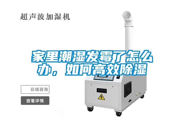 家里潮濕發(fā)霉了怎么辦，如何高效除濕