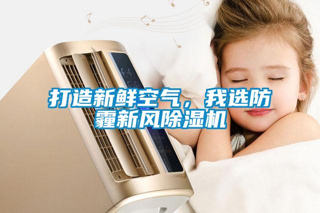 打造新鮮空氣，我選防霾新風(fēng)除濕機(jī)