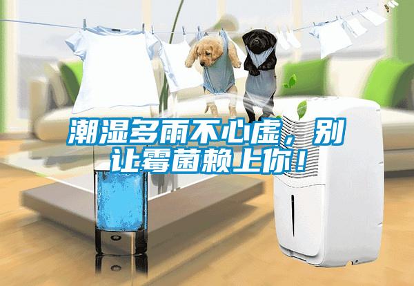 潮濕多雨不心虛，別讓霉菌賴(lài)上你！