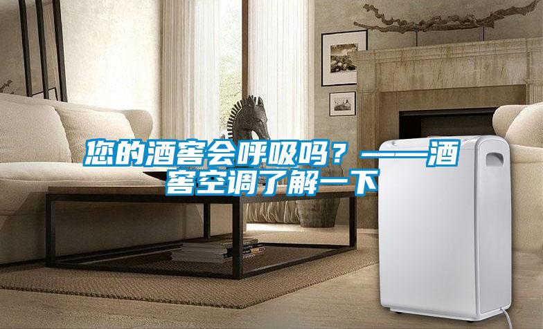 您的酒窖會呼吸嗎？——酒窖空調了解一下