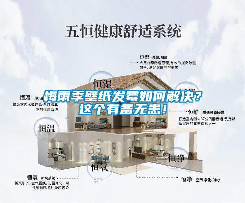 梅雨季壁紙發(fā)霉如何解決？這個有備無患！