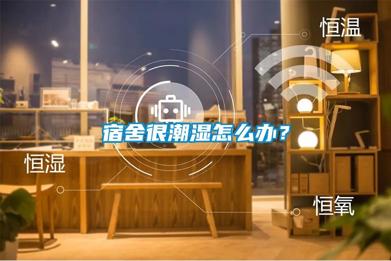 宿舍很潮濕怎么辦？