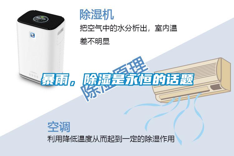 暴雨，除濕是永恒的話題