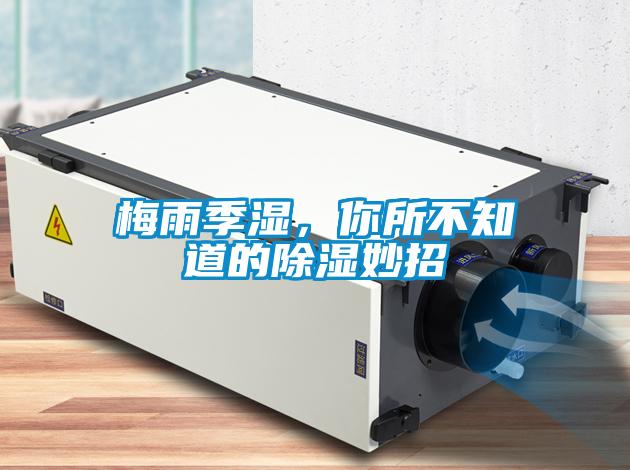 梅雨季濕，你所不知道的除濕妙招