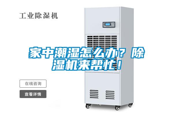家中潮濕怎么辦？除濕機(jī)來(lái)幫忙！