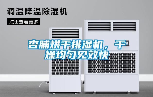杏脯烘干排濕機，干燥均勻見效快