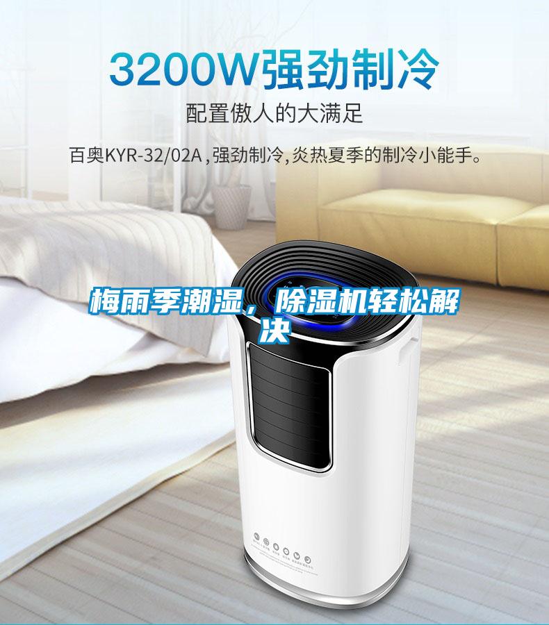 梅雨季潮濕，除濕機輕松解決