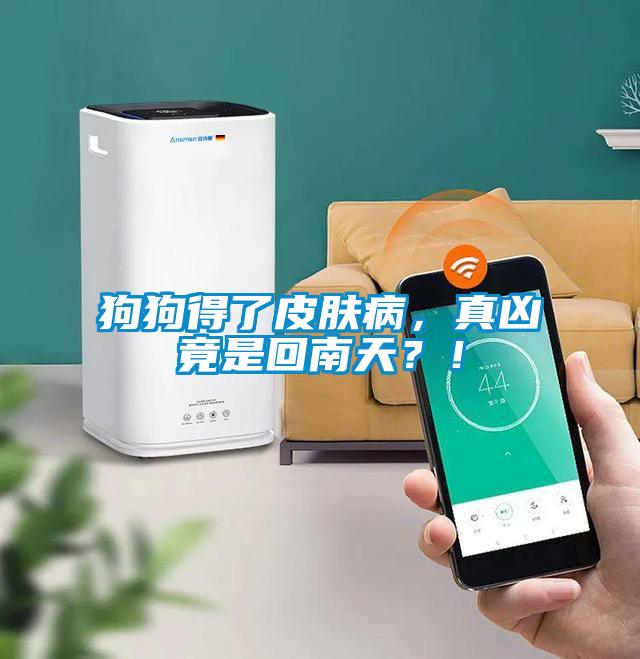 狗狗得了皮膚病，真兇竟是回南天？！