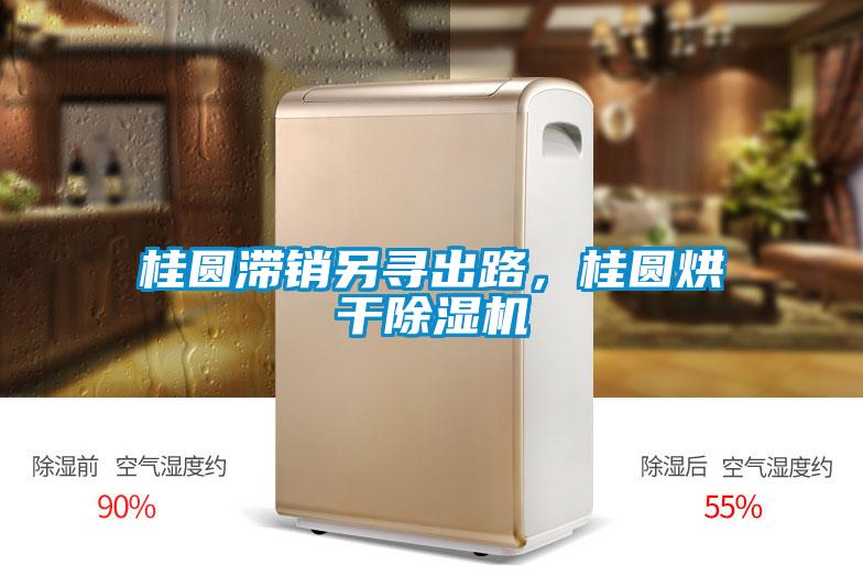 桂圓滯銷另尋出路，桂圓烘干除濕機(jī)