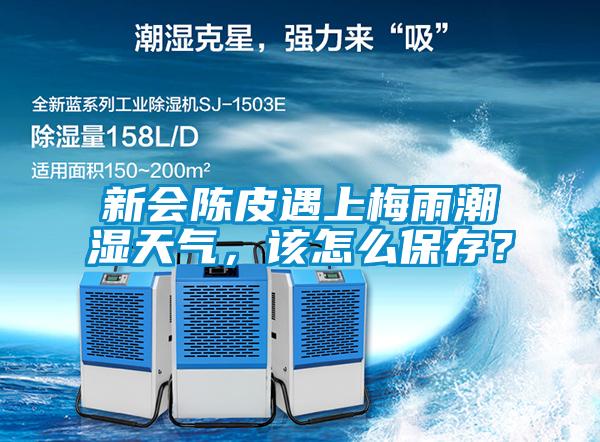 新會(huì)陳皮遇上梅雨潮濕天氣，該怎么保存？