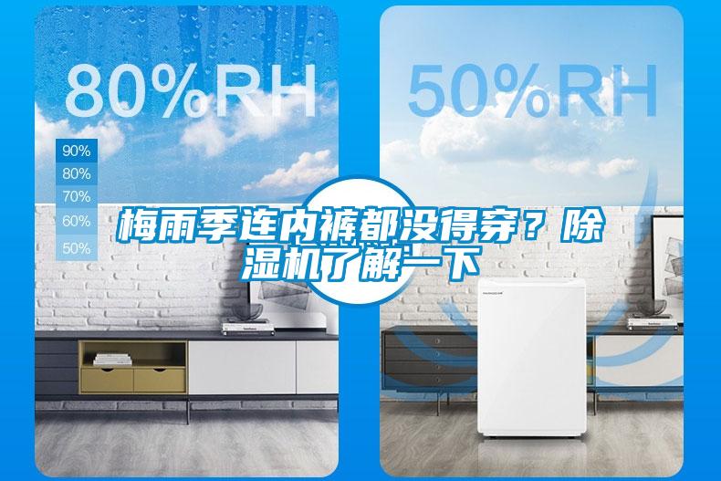 梅雨季連內(nèi)褲都沒得穿？除濕機(jī)了解一下