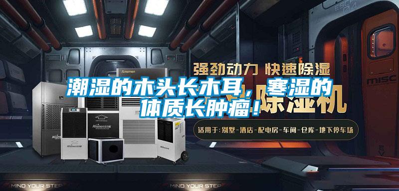 潮濕的木頭長木耳，寒濕的體質(zhì)長腫瘤！
