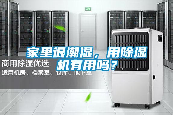 家里很潮濕，用除濕機有用嗎？
