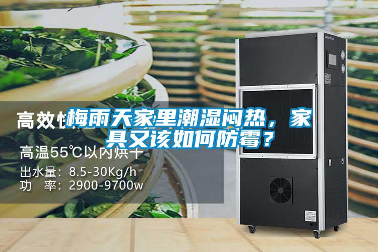 梅雨天家里潮濕悶熱，家具又該如何防霉？