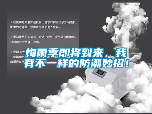 梅雨季即將到來，我有不一樣的防潮妙招！