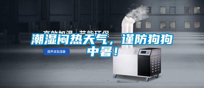 潮濕悶熱天氣，謹(jǐn)防狗狗中暑！