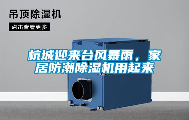 杭城迎來臺(tái)風(fēng)暴雨，家居防潮除濕機(jī)用起來