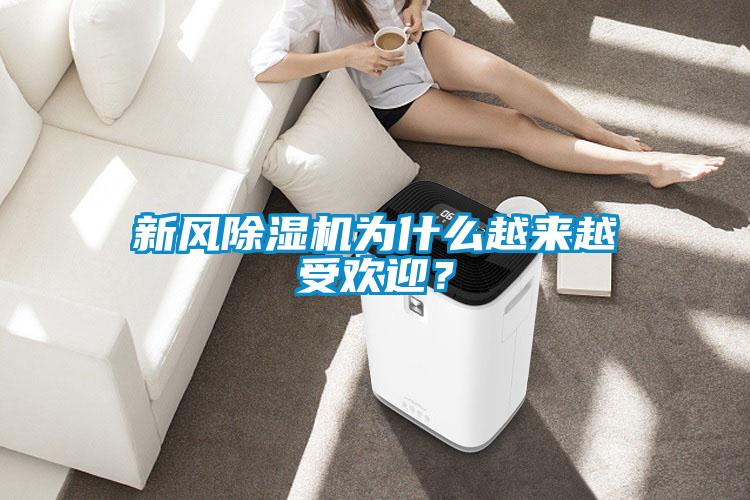 新風(fēng)除濕機(jī)為什么越來越受歡迎？