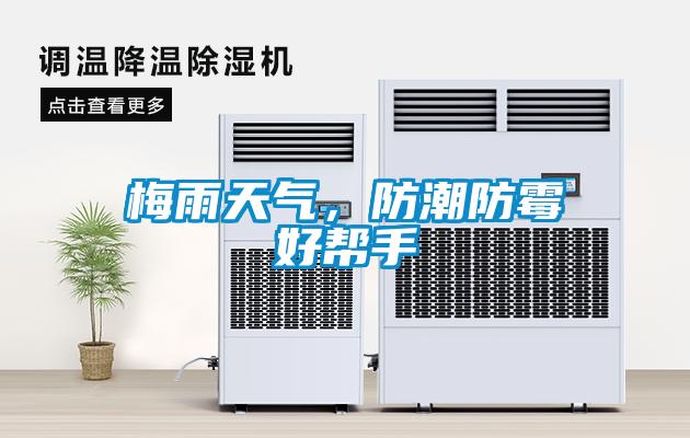 梅雨天氣，防潮防霉好幫手