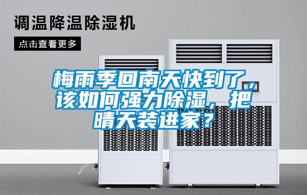 梅雨季回南天快到了，該如何強力除濕，把晴天裝進家？