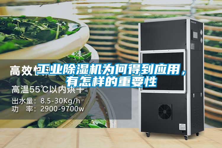 工業(yè)除濕機(jī)為何得到應(yīng)用，有怎樣的重要性