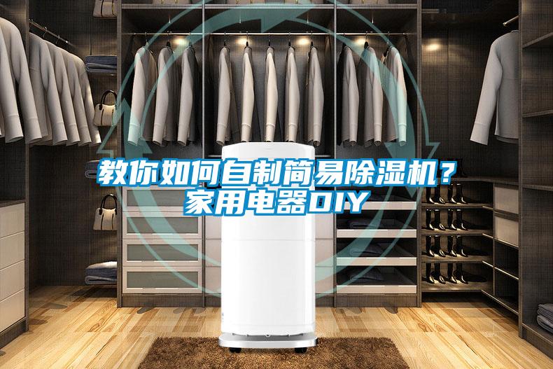 教你如何自制簡(jiǎn)易除濕機(jī)？家用電器DIY