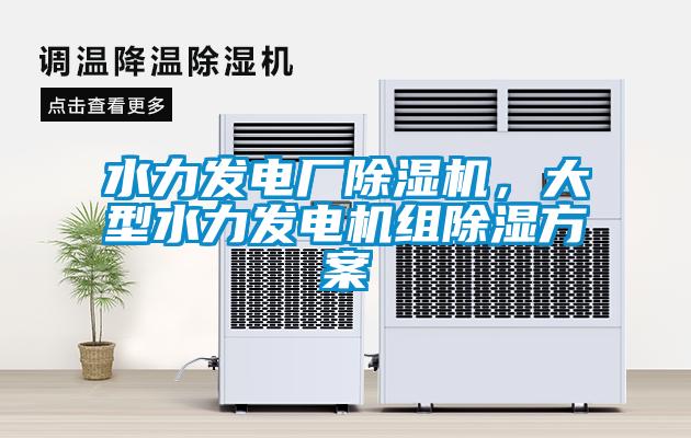 水力發(fā)電廠除濕機(jī)，大型水力發(fā)電機(jī)組除濕方案