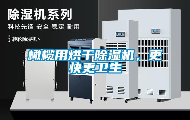 橄欖用烘干除濕機(jī)，更快更衛(wèi)生