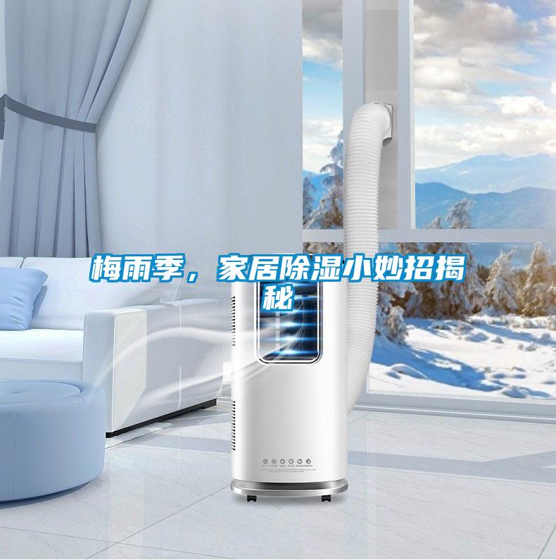 梅雨季，家居除濕小妙招揭秘