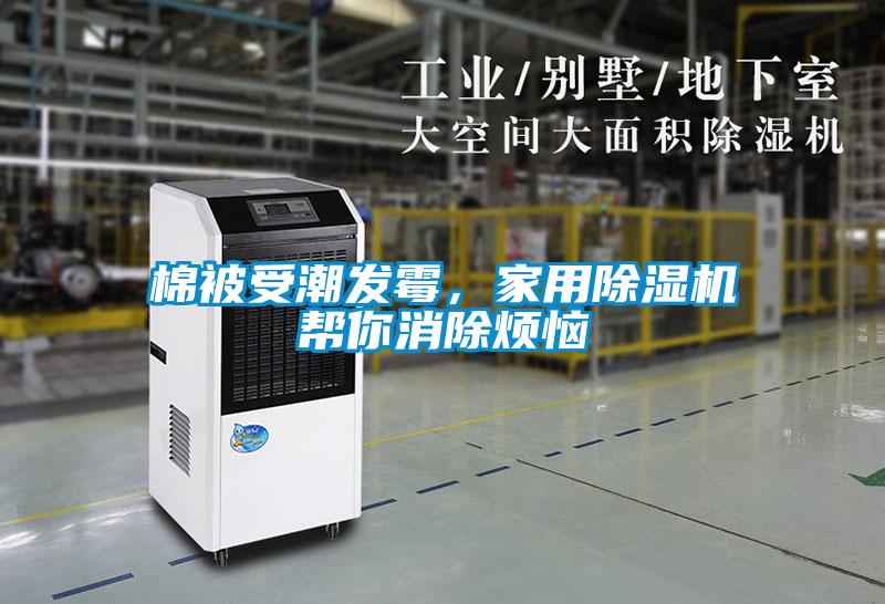 棉被受潮發(fā)霉，家用除濕機(jī)幫你消除煩惱