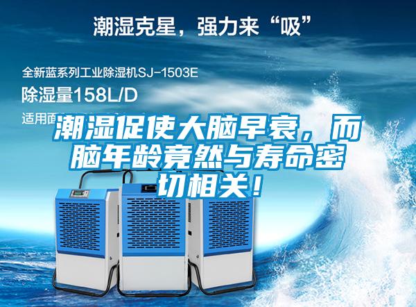潮濕促使大腦早衰，而腦年齡竟然與壽命密切相關(guān)！