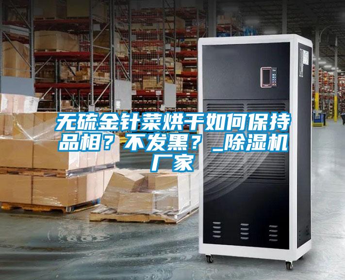 無硫金針菜烘干如何保持品相？不發(fā)黑？_除濕機(jī)廠家