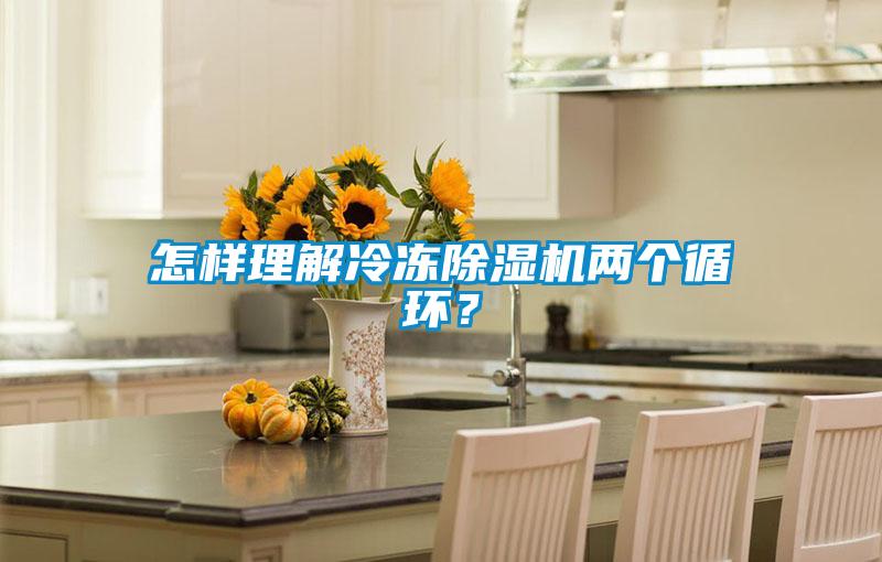 怎樣理解冷凍除濕機(jī)兩個(gè)循環(huán)？