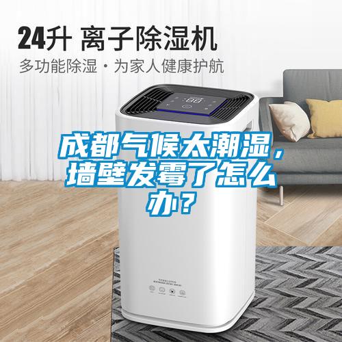 成都?xì)夂蛱睗?，墻壁發(fā)霉了怎么辦？