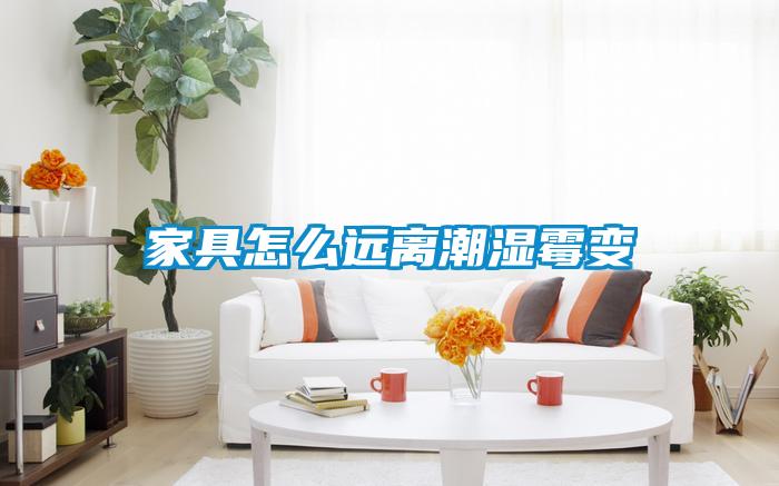家具怎么遠離潮濕霉變