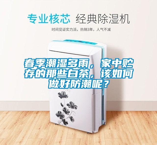 春季潮濕多雨，家中貯存的那些白茶，該如何做好防潮呢？