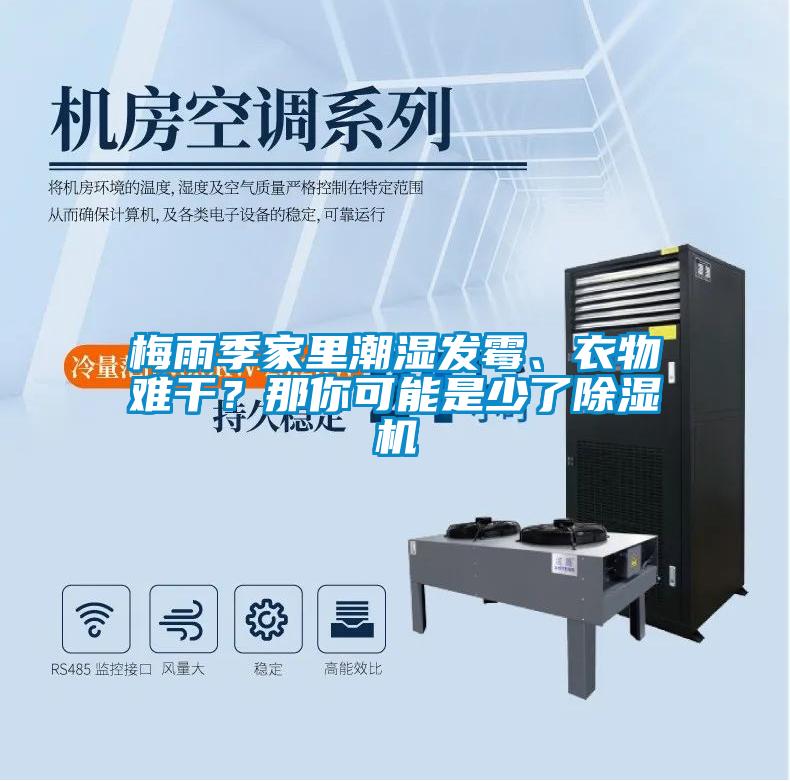 梅雨季家里潮濕發(fā)霉、衣物難干？那你可能是少了除濕機(jī)