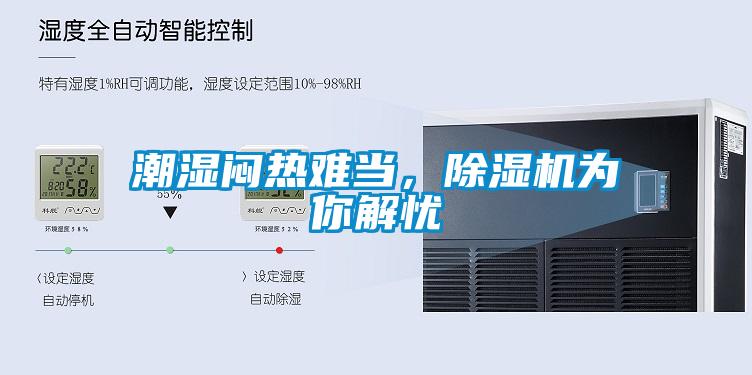 潮濕悶熱難當，除濕機為你解憂