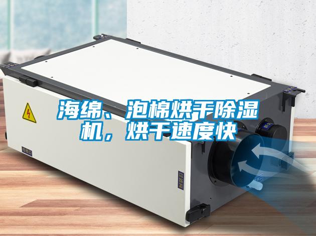海綿、泡棉烘干除濕機(jī)，烘干速度快