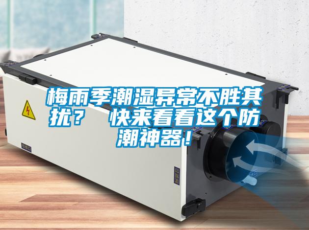 梅雨季潮濕異常不勝其擾？ 快來看看這個(gè)防潮神器！