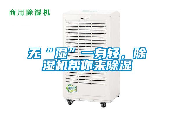 無“濕”一身輕，除濕機幫你來除濕