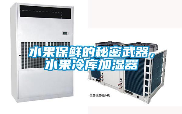 水果保鮮的秘密武器，水果冷庫(kù)加濕器