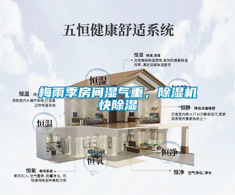 梅雨季房間濕氣重，除濕機快除濕