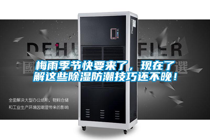 梅雨季節(jié)快要來了，現(xiàn)在了解這些除濕防潮技巧還不晚！