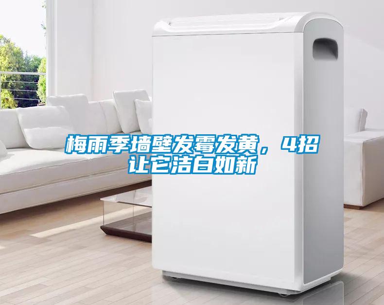 梅雨季墻壁發(fā)霉發(fā)黃，4招讓它潔白如新