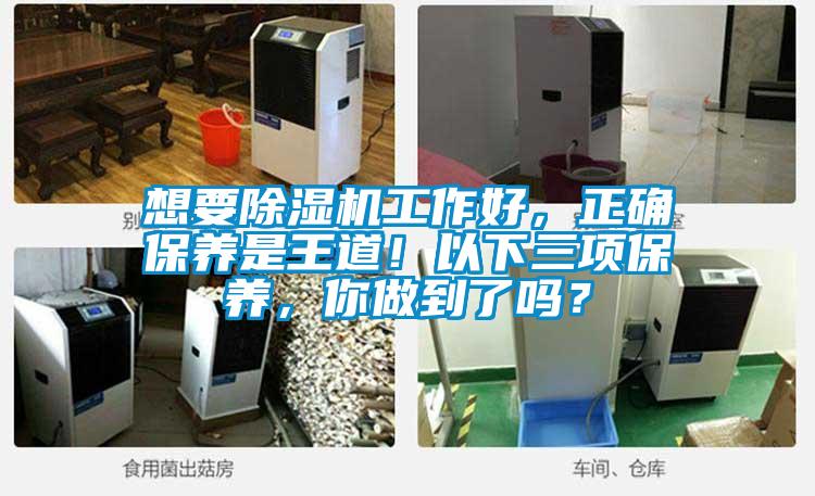 想要除濕機(jī)工作好，正確保養(yǎng)是王道！以下三項(xiàng)保養(yǎng)，你做到了嗎？