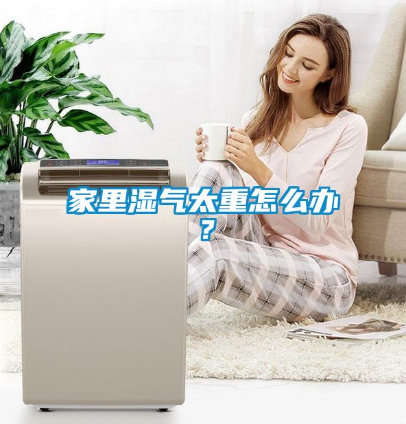 家里濕氣太重怎么辦？